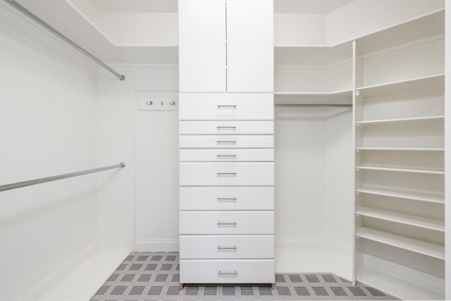 6826 Falls Ridge Ln, College Grove, TN 37046 - view of walk in closet