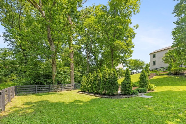 6826 Falls Ridge Ln, College Grove, TN 37046 - view of yard