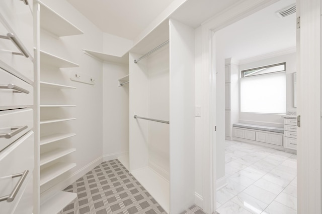 6826 Falls Ridge Ln, College Grove, TN 37046 - spacious closet featuring light marble finish floors