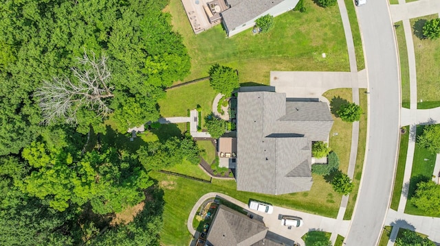 6826 Falls Ridge Ln, College Grove, TN 37046 - bird's eye view