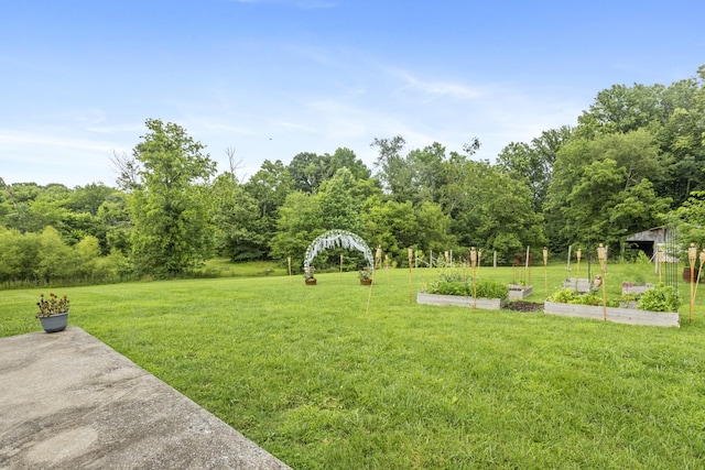 1512 Pleasant Grove Rd, Westmoreland, TN 37186 - photo 21