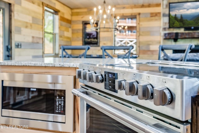 201 Laurel Oaks Way, Gatlinburg, TN 37738 - detailed view of stainless steel appliances, wood walls, and light stone counters