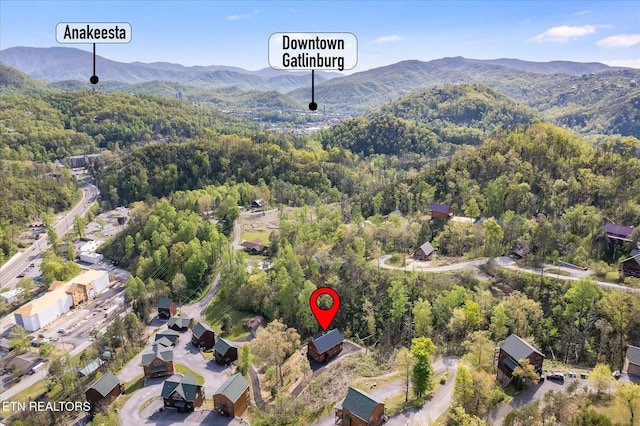 201 Laurel Oaks Way, Gatlinburg, TN 37738 - view of property location featuring mountains and a forest