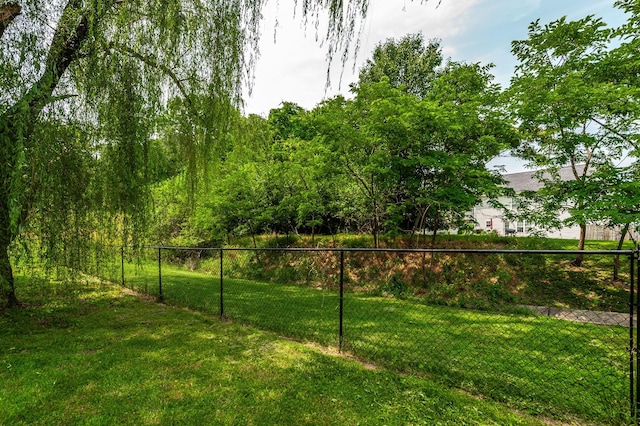 102 Buckhaven Ct, Hendersonville, TN 37075 - view of yard