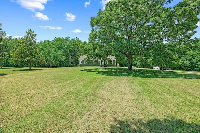 347 Hailey Ridge Ln, Gainesboro, TN 38562 - photo 4