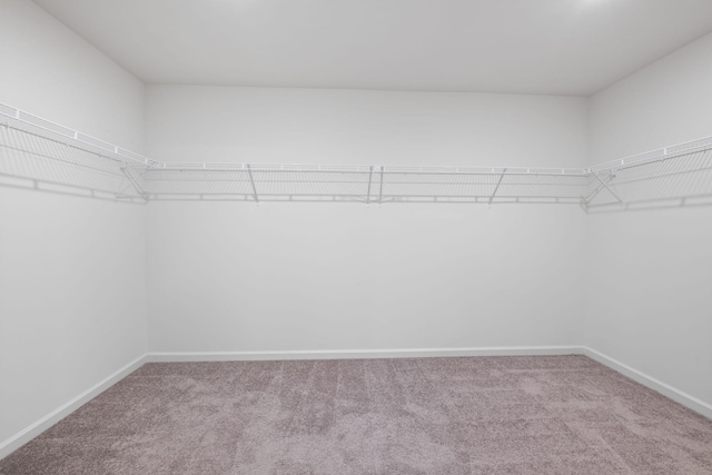 4064 Magnolia Farms Dr, Hermitage, TN 37076 - photo 37