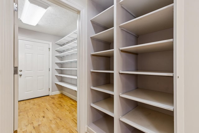 209 Taylor Creek Ln, Chapel Hill, TN 37034 - walk in closet with wood finished floors