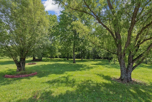 209 Taylor Creek Ln, Chapel Hill, TN 37034 - view of grassy yard