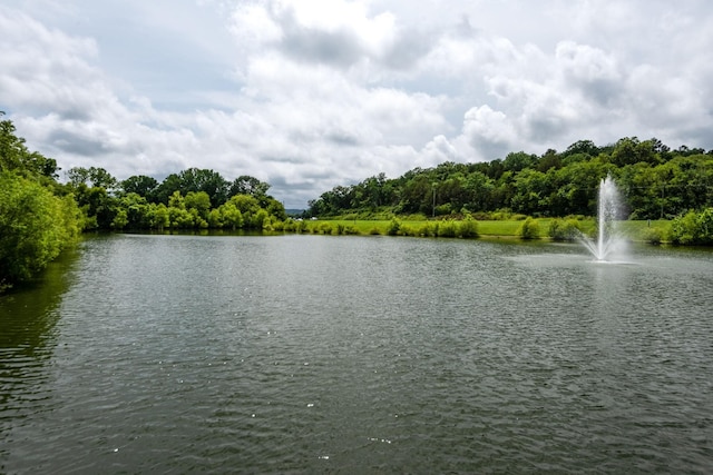 1214 Cressy Ln, Brentwood, TN 37027 - photo 33