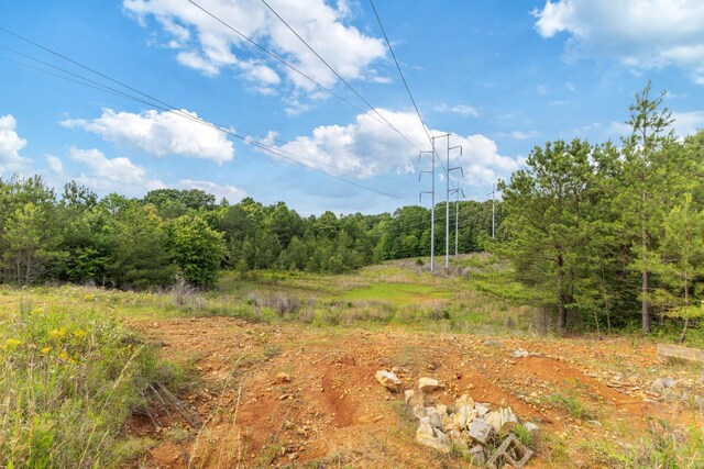 0 Raybon Binkley, Ashland City, TN 37015 - photo 32