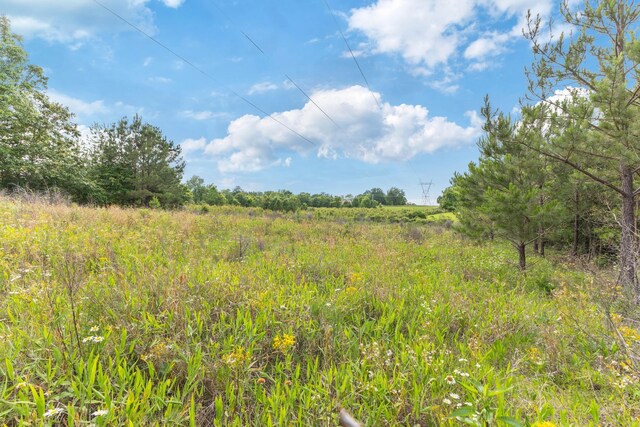 0 Raybon Binkley, Ashland City, TN 37015 - photo 14