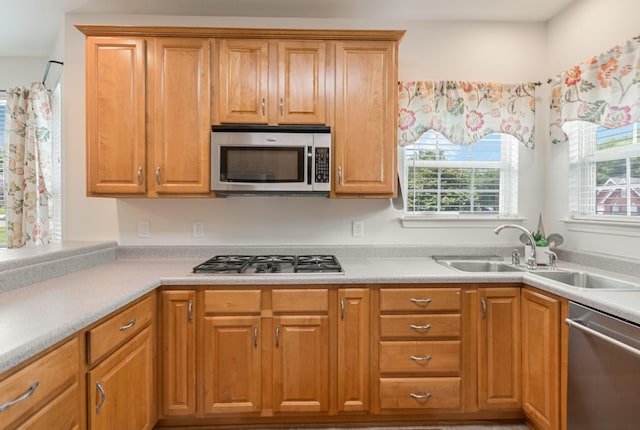 123 River Downs Blvd, Murfreesboro, TN 37128 - kitchen with stainless steel appliances, healthy amount of natural light, light countertops, and brown cabinets