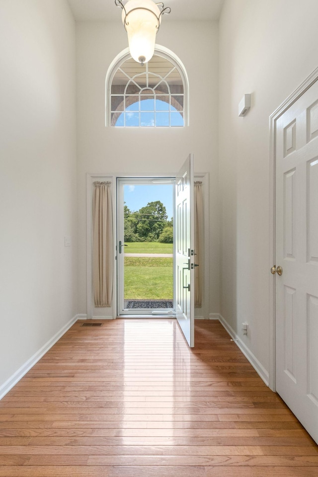 123 River Downs Blvd, Murfreesboro, TN 37128 - foyer with light wood-type flooring and a towering ceiling