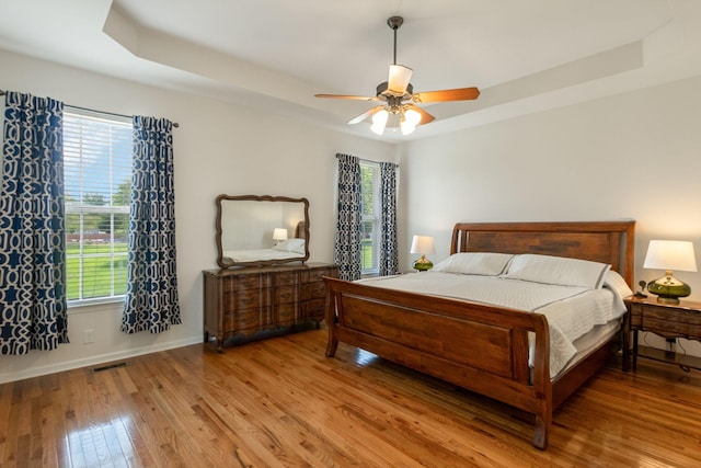 123 River Downs Blvd, Murfreesboro, TN 37128 - bedroom featuring wood finished floors, multiple windows, and a raised ceiling