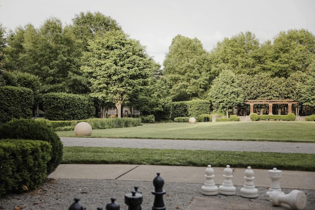 104 Majestic Ln, Franklin, TN 37064 - view of property's community featuring a yard