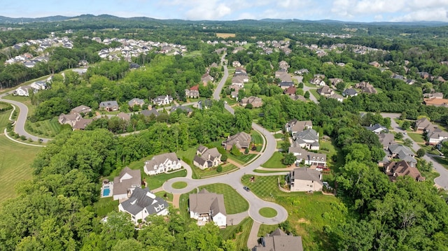 4310 Kings Camp Ct, Arrington, TN 37014 - aerial view of residential area