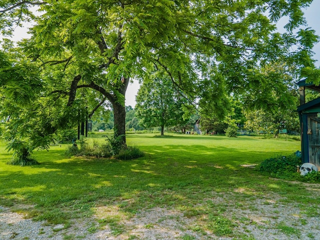 7139 Kingston Rd, Fairview, TN 37062 - view of green lawn
