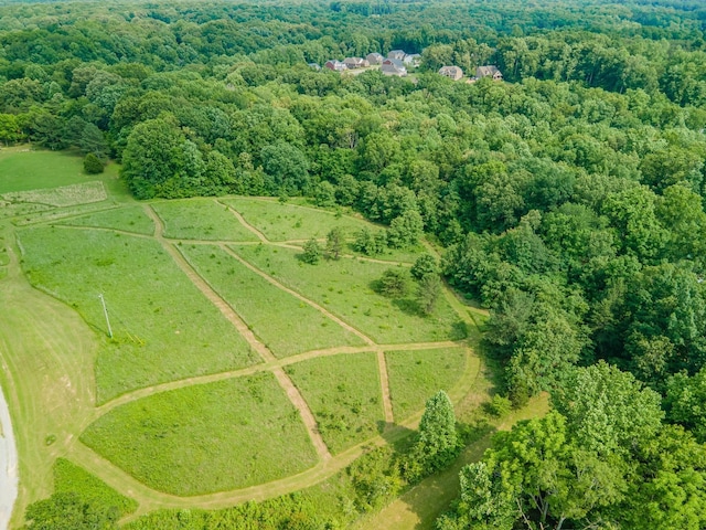 7139 Kingston Rd, Fairview, TN 37062 - bird's eye view of a heavily wooded area