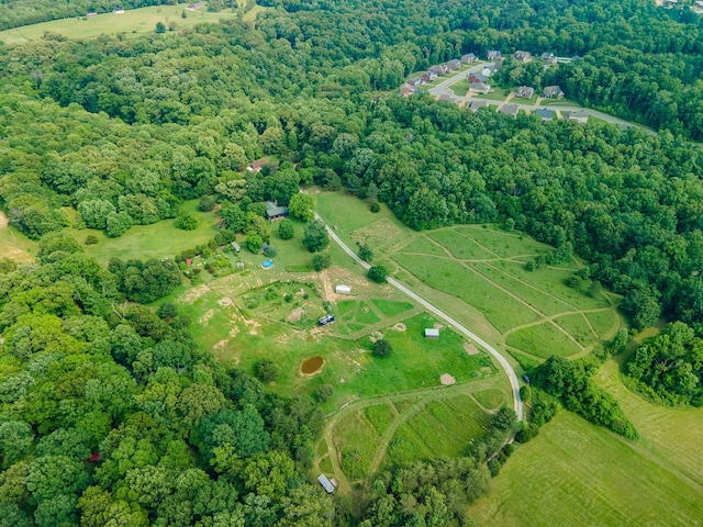 7139 Kingston Rd, Fairview, TN 37062 - aerial view of property's location with a forest
