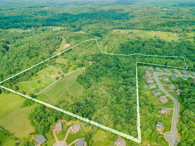 7139 Kingston Rd, Fairview, TN 37062 - aerial view of property and surrounding area featuring property parcel outlined and a heavily wooded area