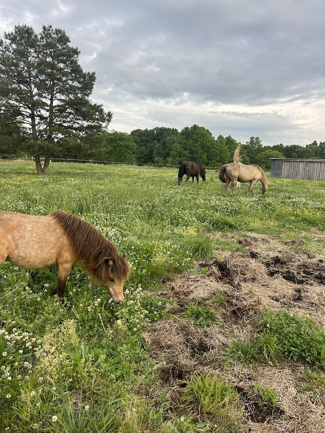 7139 Kingston Rd, Fairview, TN 37062 - view of yard with a view of rural / pastoral area
