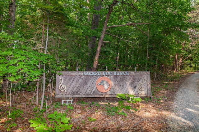 7139 Kingston Rd, Fairview, TN 37062 - exterior view of a heavily wooded area