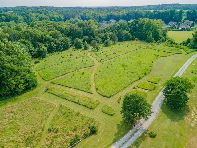 7139 Kingston Rd, Fairview, TN 37062 - view of rural area