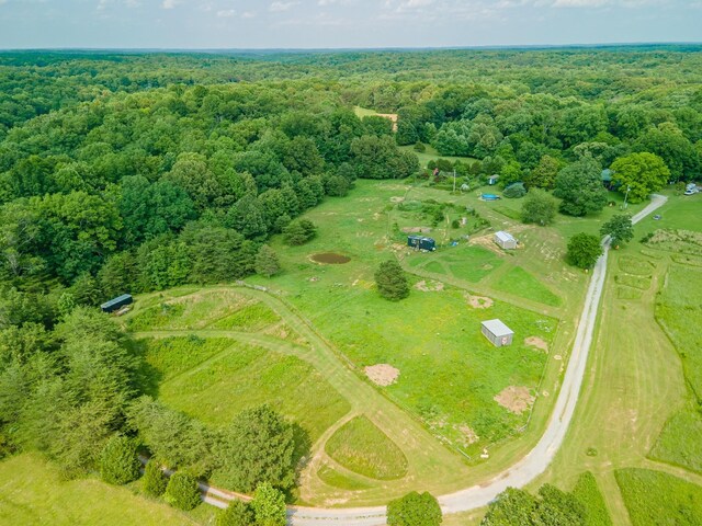 7139 Kingston Rd, Fairview, TN 37062 - bird's eye view of a forest