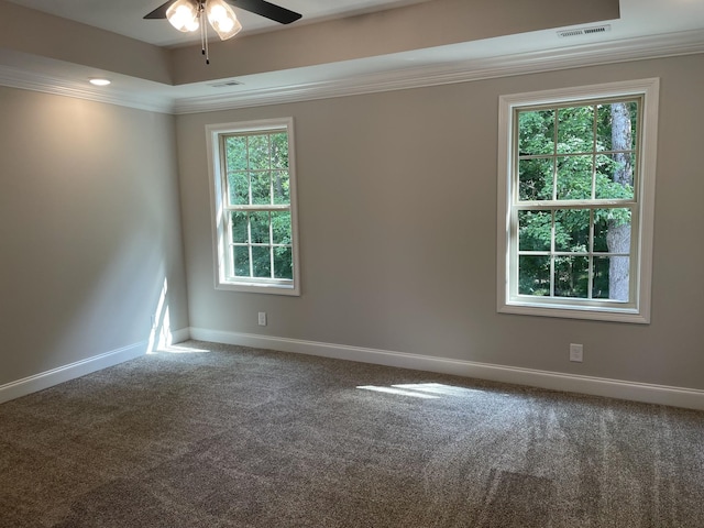 348 Timber Spgs, Clarksville, TN 37042 - photo 9