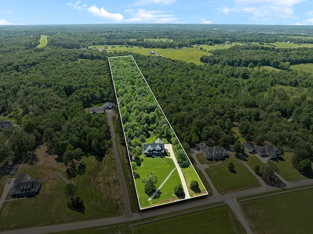973 Hall Cemetery Rd, Burns, TN 37029 - aerial view of property's location featuring a forest and property boundaries highlighted