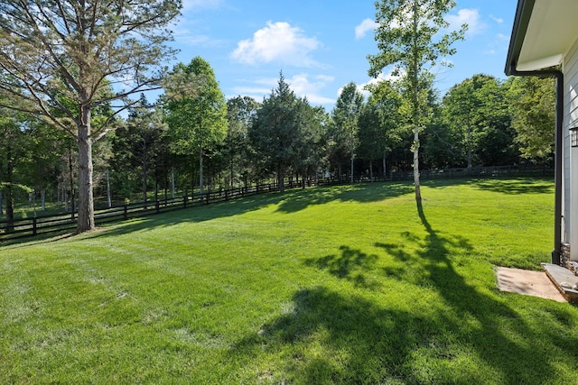 973 Hall Cemetery Rd, Burns, TN 37029 - view of fenced backyard