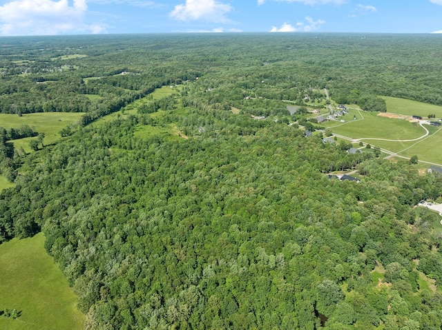973 Hall Cemetery Rd, Burns, TN 37029 - view of property location featuring a heavily wooded area