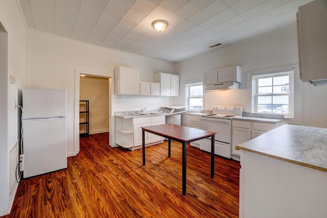 713 SE Atlantic St, Tullahoma, TN 37388 - kitchen with white appliances, under cabinet range hood, dark wood-style flooring, ornamental molding, and white cabinets