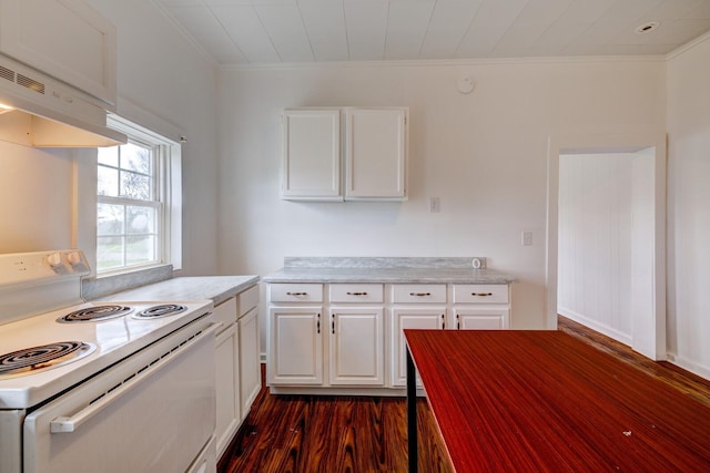 713 SE Atlantic St, Tullahoma, TN 37388 - kitchen with white electric range, under cabinet range hood, ornamental molding, dark wood-style floors, and white cabinets