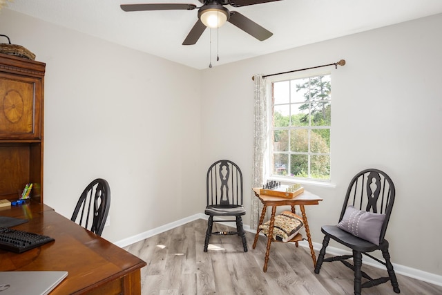 1808 Nassau Blvd, Florence, AL 35630 - office featuring light wood-style floors and ceiling fan
