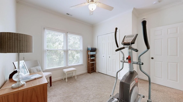 161 Broadwell Cir, Franklin, TN 37067 - photo 29