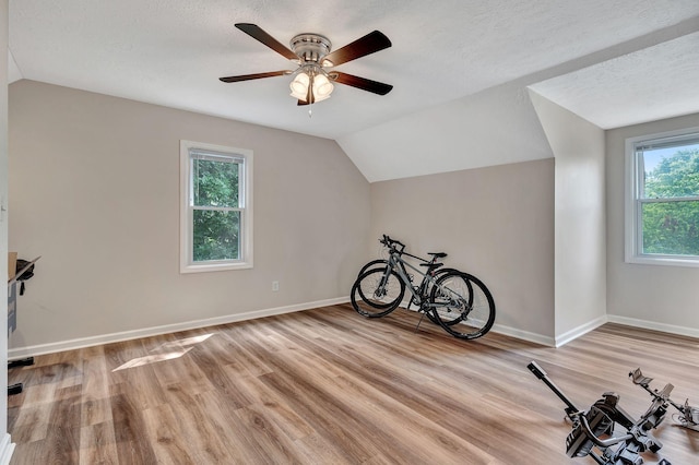 141 Springbrook Pl, Joelton, TN 37080 - additional living space with vaulted ceiling, light wood-style flooring, a ceiling fan, and a textured ceiling