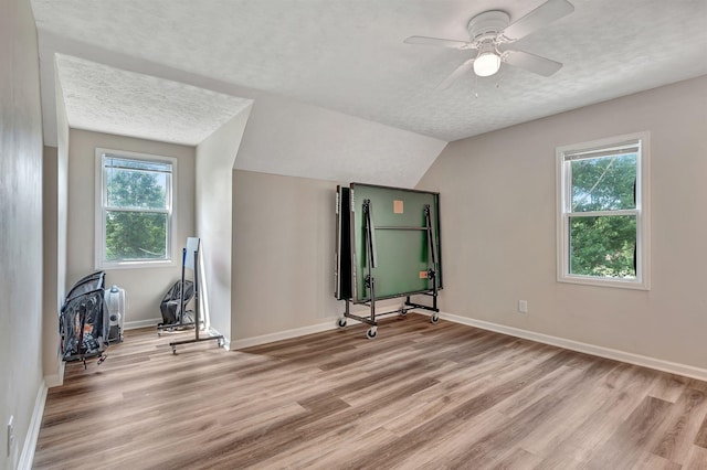141 Springbrook Pl, Joelton, TN 37080 - additional living space featuring light wood-type flooring, a ceiling fan, a textured ceiling, and vaulted ceiling