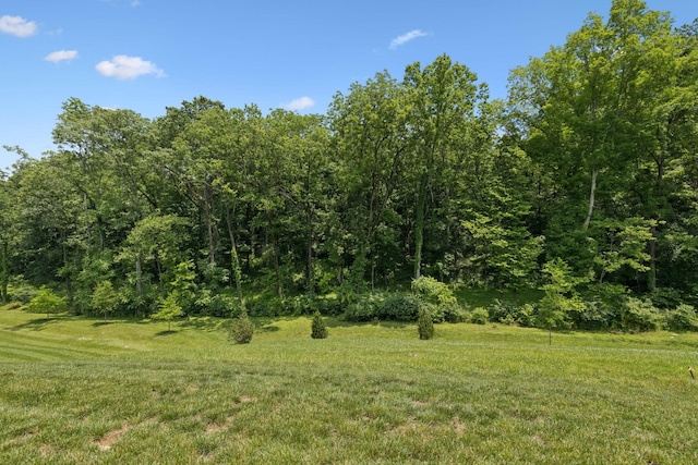 5128 Terravista Ln, Franklin, TN 37064 - view of local wilderness