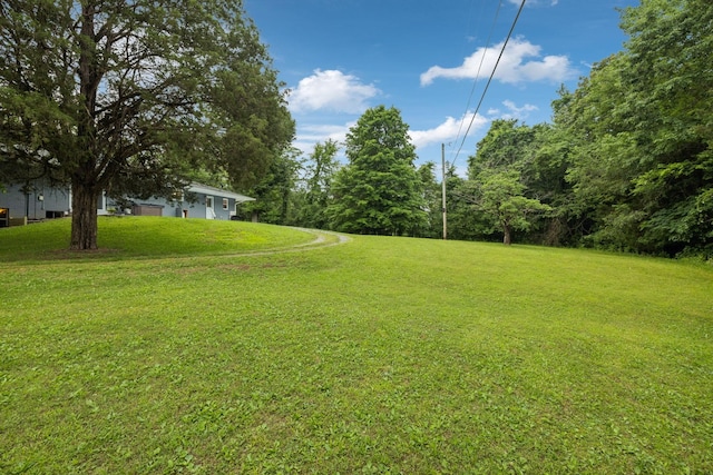 1776 Seven Mile Ferry Rd, Clarksville, TN 37040 - photo 48