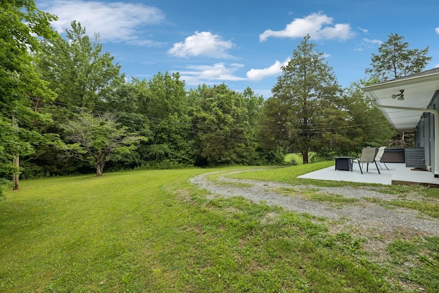 1776 Seven Mile Ferry Rd, Clarksville, TN 37040 - photo 43
