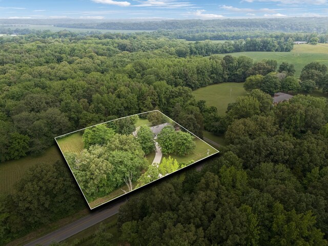 1776 Seven Mile Ferry Rd, Clarksville, TN 37040 - photo 51