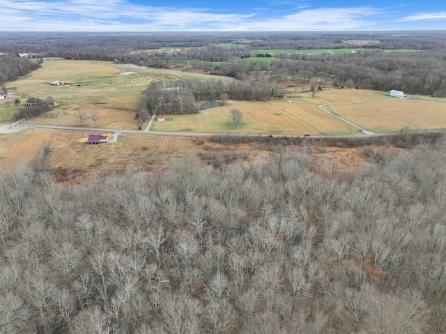 2692 Heads Church Rd, Cedar Hill, TN 37032 - photo 47