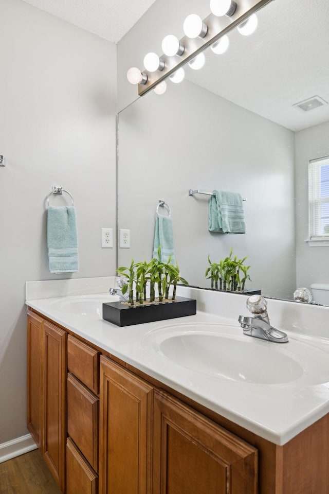 1882 Portway Rd, Spring Hill, TN 37174 - bathroom featuring double vanity and wood finished floors