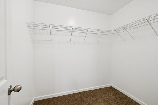 1882 Portway Rd, Spring Hill, TN 37174 - spacious closet with dark carpet