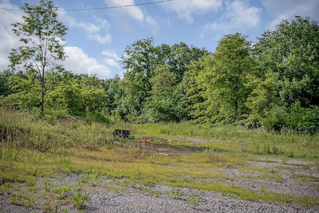 13599 Monterey Hwy, Monterey, TN 38574