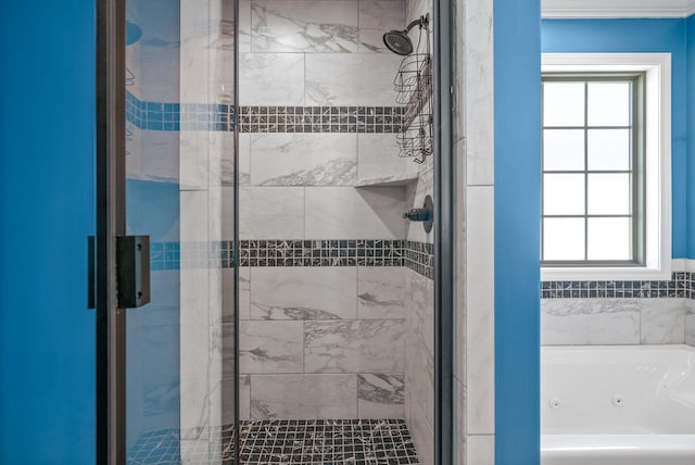 1613 Kestrel Dr, Clarksville, TN 37040 - bathroom featuring a stall shower, a tub with jets, and plenty of natural light