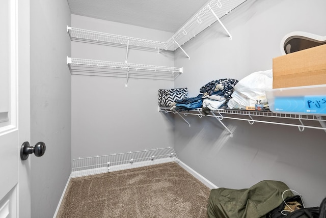 1613 Kestrel Dr, Clarksville, TN 37040 - spacious closet featuring carpet