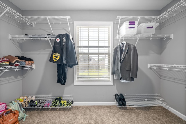 1613 Kestrel Dr, Clarksville, TN 37040 - walk in closet featuring carpet