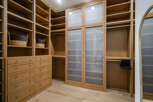 6128 Lookaway Cir, Franklin, TN 37067 - spacious closet featuring light wood finished floors